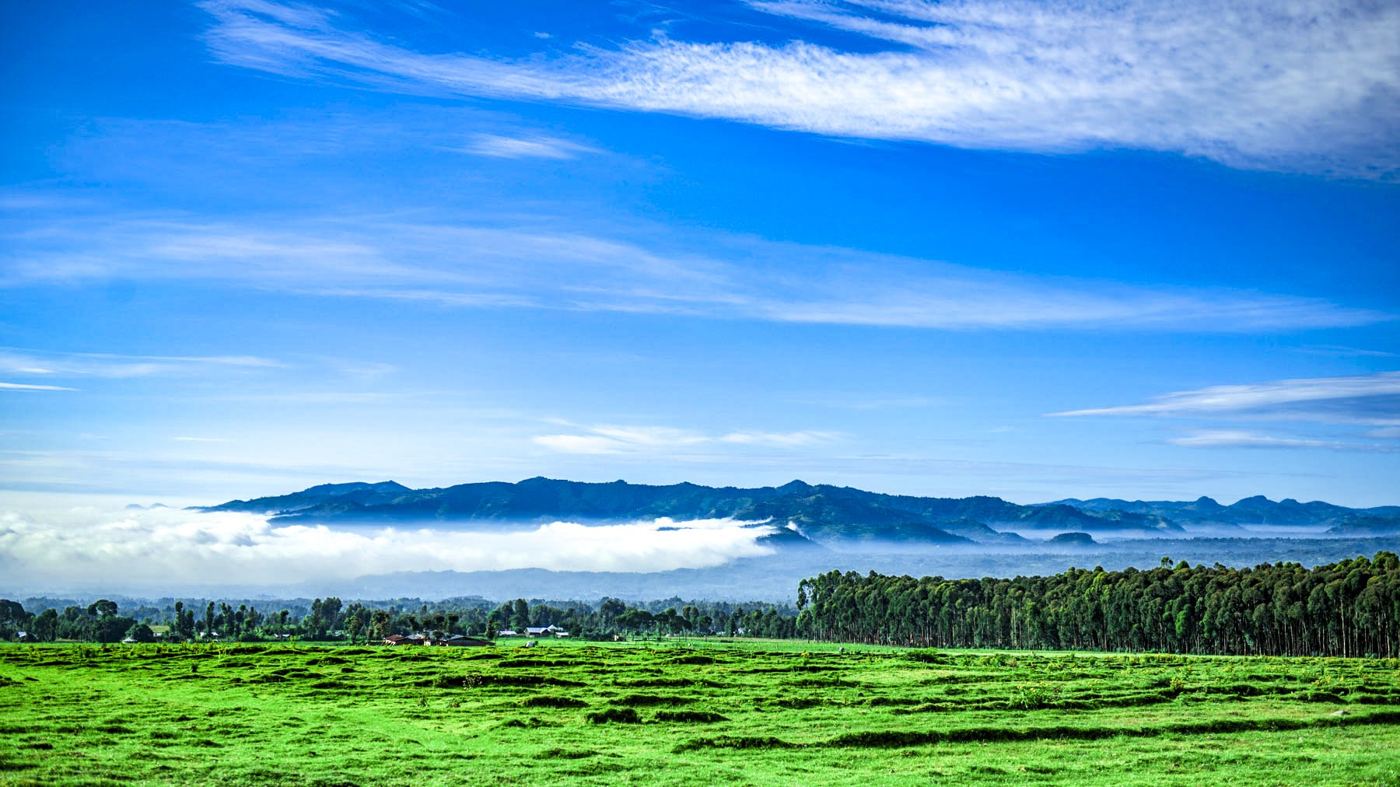 Green highlands with morning mist